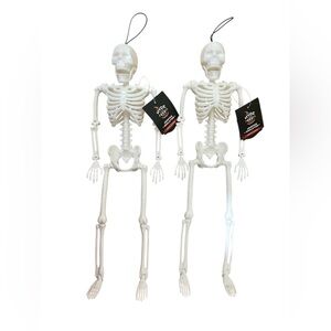 Hyde and EEK! White Hanging Jointed Skeleton - Set of 2
